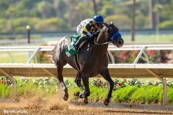 'She's By One Of My All-Time Favorite Horses': Baffert Filly Fun To Dream Seeks Second Stakes Win In Betty Grable For Cal-Breds