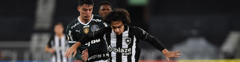 Botafogo na zona de rebaixamento do Brasileirão e Palmeiras na briga pelo título; confira a tabela e as probabilidades para o returno
