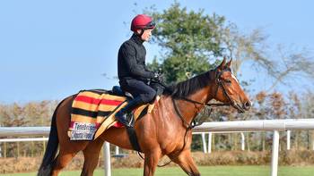 1000 Guineas: Aidan O'Brien's Tenebrism and Tuesday set for Newmarket Classic on Sunday