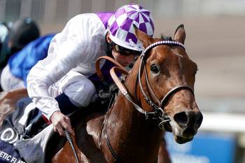 1000 Guineas Stakes and 2000 Guineas Stakes betting tips and odds: Aidan O'Brien prepared for more winners at Newmarket