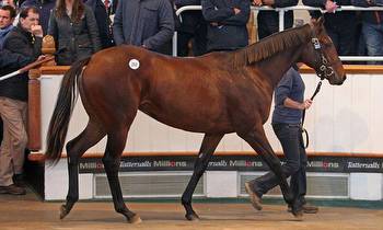 The FIVE MILLION guinea horse: One-year-old daughter of world's most sought-after stallion sells at auction for record-breaking £5.25million