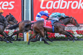 $12 million wagered on the Cox Plate into the World Pool