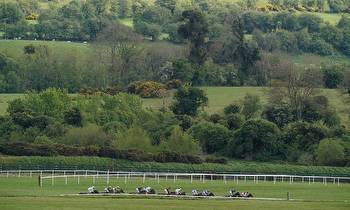 13:55 Punchestown: Timeform preview and free Race Pass