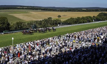 15:20 Goodwood: Timeform preview and free Race Pass