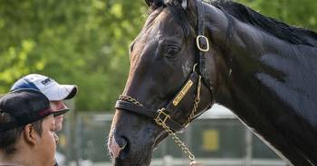 154th Belmont Stakes: A look at the track, the field, the odds and notes on each horse