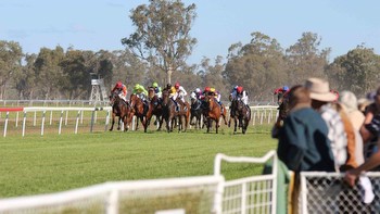 16/1/2024 Horse Racing Tips and Best Bets