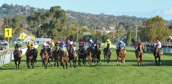 17/9/2022 Horse Racing Tips and Best Bets