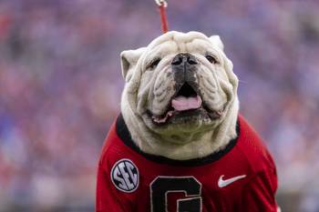 What TV channel is Georgia Bulldogs vs Ohio State football on today? Free live stream, Peach Bowl Game odds, CFP semifinal time (12/31/2022)