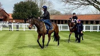 20-1 Guineas hope impresses in Newmarket gallop