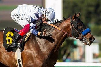 $20 million Saudi Cup features American, Japanese, promising local horses