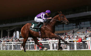 2000 Guineas 2023 Tips and Betting Odds