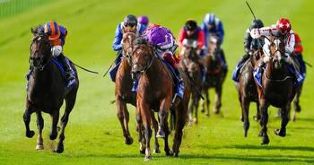 2000 Guineas tips: Runner guide, odds and racecard for Saturday's big race at Newmarket