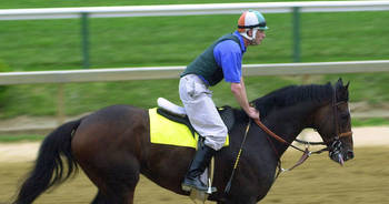2000 Kentucky Derby Winner Fusaichi Pegasus Dies at Age 26