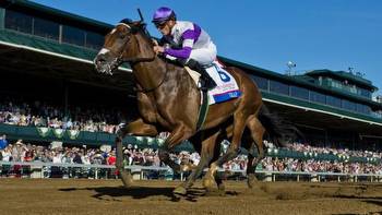 2018 Blue Grass Stakes by the Numbers