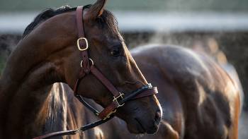 2019 Kentucky Derby: Early selections and betting picks