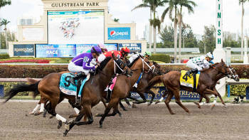 2021 Princess Rooney Stakes odds, predictions, lineup: Expert who nailed Tampa Bay Derby shares top picks