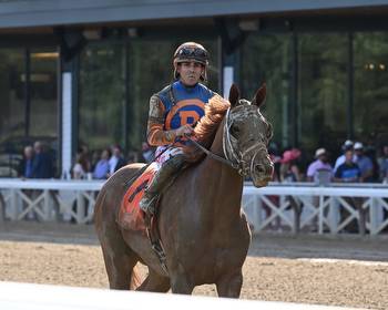 2021 Travers Stakes Entries, Odds and Contenders: Dynamic One