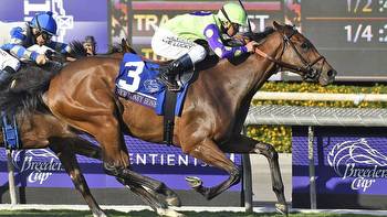 2022 Breeders' Cup Classic expert picks, odds: Surprising predictions by expert who nailed exacta last year
