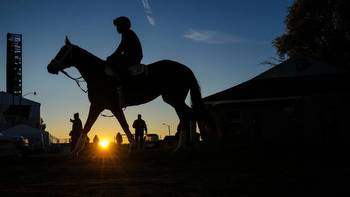 2023 Belmont Stakes horses, futures, odds, date: Expert who nailed 4 of 5 winners lists picks