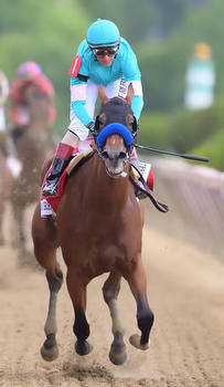 2023 Belmont Stakes Odds, Picks, Post Positions: National Treasure