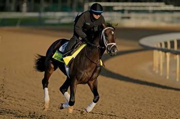 2023 Belmont Stakes odds, post positions: Forte favored to win after scratching from Derby