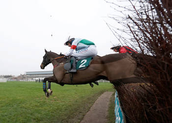 2023 Betway Haldon Gold Cup: runner-by-runner guide and tip
