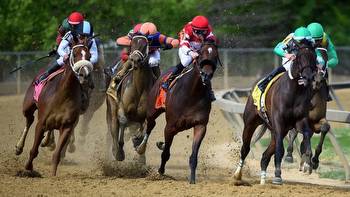 2023 Black-Eyed Susan Stakes predictions, odds, post time, lineup: Surprising picks from horse racing insider