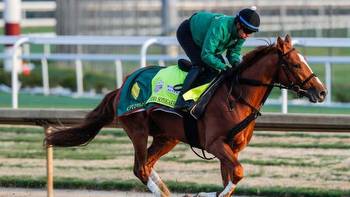 2023 Breeders' Cup Classic predictions, odds, post time, contenders: Picks by Santa Anita-based insider