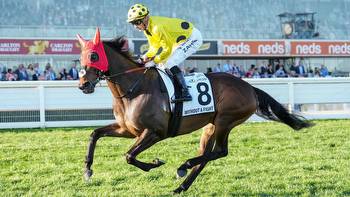 2023 Caulfield Cup: Without A Fight to trial at Mornington ahead of Group 1 feature