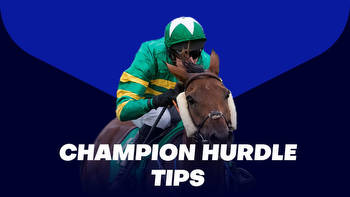 2023 Champion Hurdle Tips: Check out the best bets for Tuesday feature race