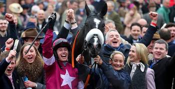 2023 Cheltenham Festival Bankers Best Backed Horses