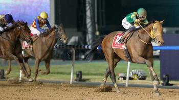 2023 Dubai World Cup Results Ushba Tesoro Wins