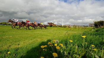 2023 Galway Festival Tips on July 31st