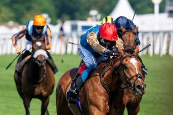 2023 Goodwood Cup Trends: Courage Mon Ami Tick The Stats?