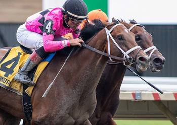 2023 Haskell Stakes Picks & Trifecta: Salute The Stars To Shine