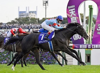 2023 Japan Cup Result Sees World's Best Racehorse Equinox Win