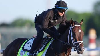 2023 Kentucky Derby betting: Horse racing odds, stats, tips