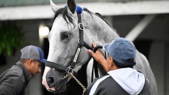 2023 Kentucky Derby horses, futures, odds, date: Expert who nailed 10 Derby-Oaks Doubles lists best picks