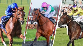 2023 Lockinge Stakes at Newbury: assessing the top six contenders for Saturday's big race