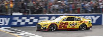 2023 NASCAR Cup Series Championship odds, picks: Racing best bets for Phoenix from proven racing experts