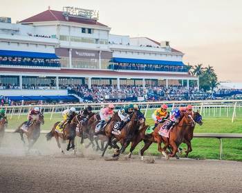 2023 Pegasus World Cup Runners, Riders and Odds