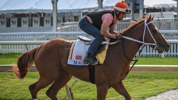 2023 Preakness Stakes odds, post time, horses, lineup: First Mission scratched, Mage draws post No. 3