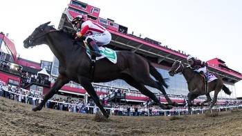 2023 Preakness Stakes predictions, odds, date, contenders: Expert who nailed last year's exacta reveals picks