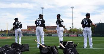 2023 Preview: Chicago White Sox