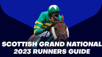2023 Scottish Grand National Runners Guide: A horse-by-horse guide for the Ayr showpiece