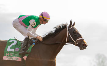 2023 Spinster Stakes: Idiomatic Takes Top Distaff Spot With Win; Nest 4th