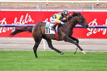 2023 VRC Carbine Club Stakes Betting Guide