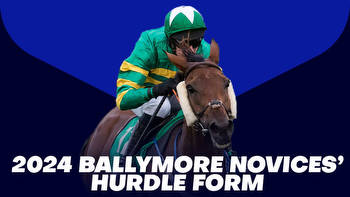2024 Ballymore Novices' Hurdle Form: Check out all the latest form for the Grade 1 Cheltenham Festival race