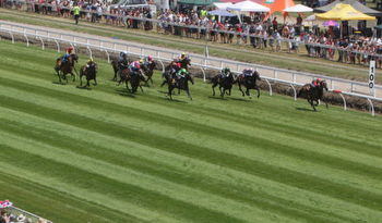 20/5/2023 Horse Racing Tips and Best Bets