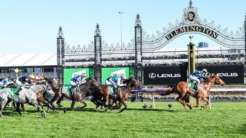 21 horses wiped out in 60 seconds in Melbourne Cup speed guide